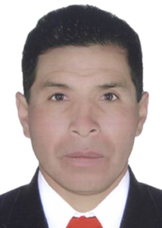 David Huamani Parco
