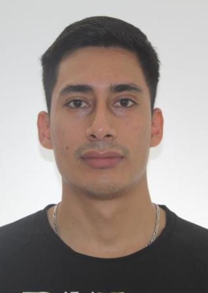 David Junior Torres Pinchi