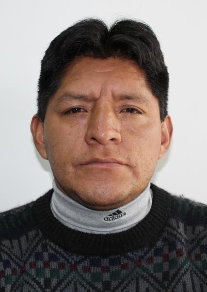 David Manzueto Palacin Janampa