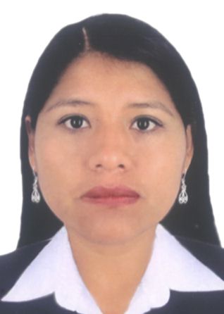 Deysi Liz Quispe Medina