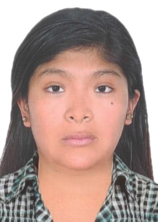 Deysi Marisol Ramos Meza