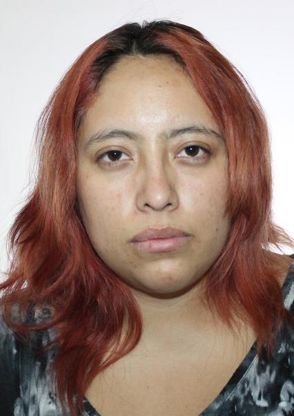 Diana carolina silva monroy