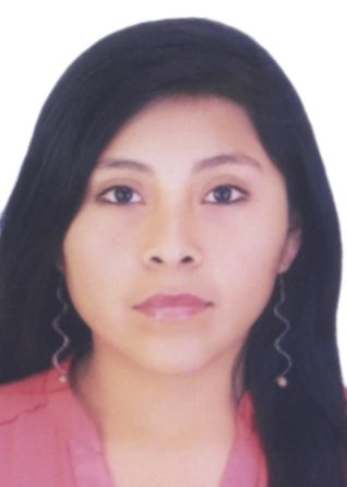Diana Mercedes Choquetico Apaza