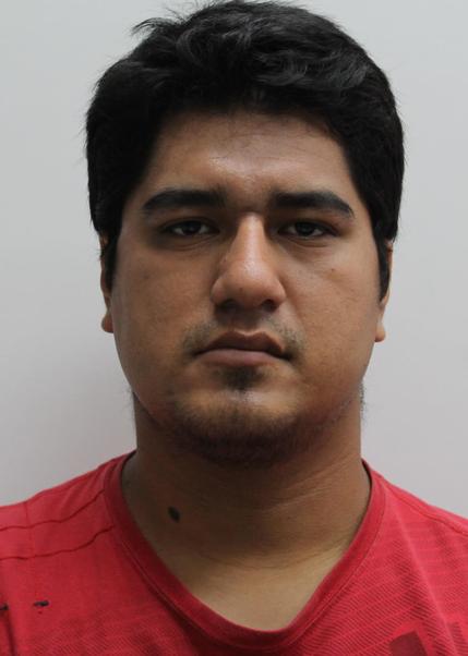 Diego Alberto Castro Sanchez
