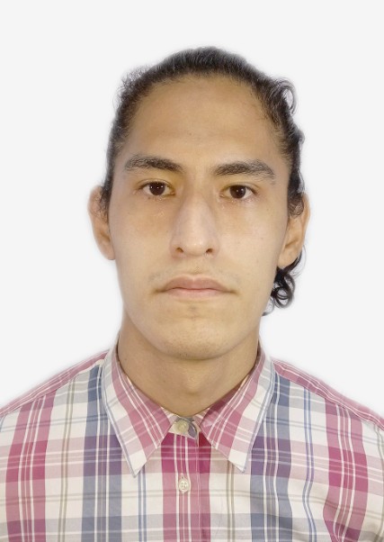 Diego Alonso Roque Apaza