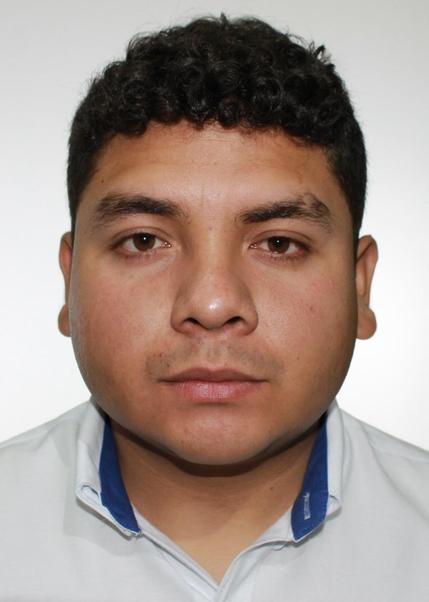 Diego armando vilela albÁn