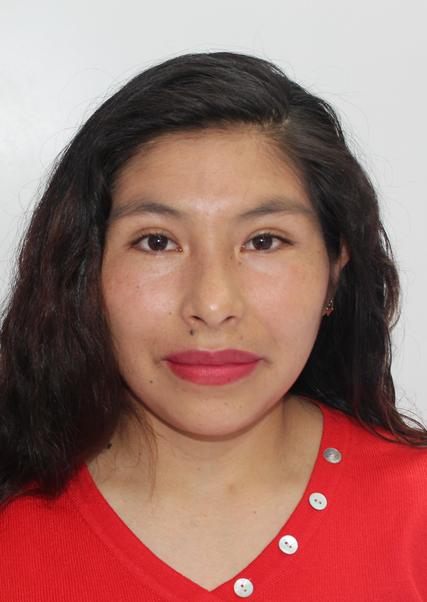 Dina maria mamani anconeira