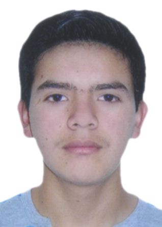 Diomer tapia diaz