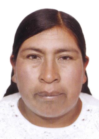 Dominga Chipana Aduviri