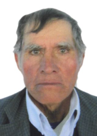 Domingo Torres Torres