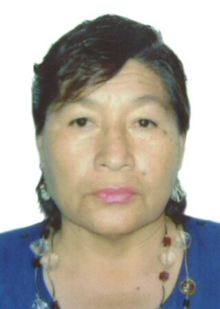 Domitila gina silva de castillo