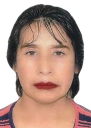 Elva sonia ayre adauto