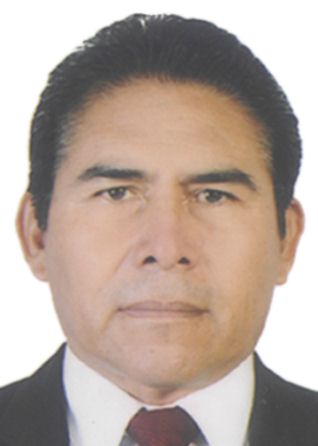 Elvis renzo revilla llerena