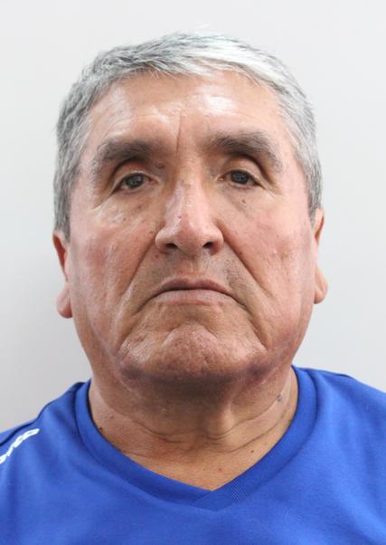 Enrique Roman Minaya Schreiber