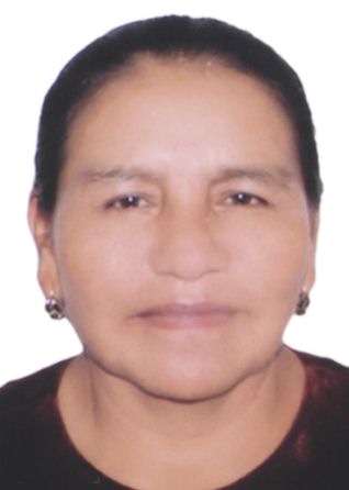 Estela Guerra Licapa