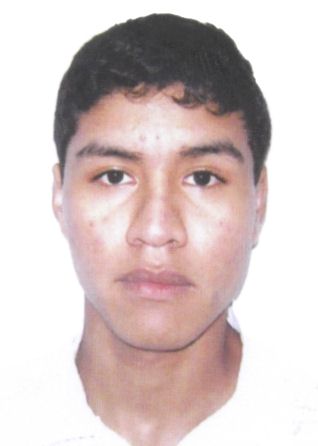 Eudomar Alvi Bladimir Luperdi Quispe