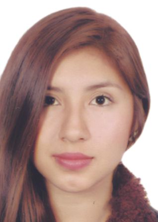 Evelyng villarreal santillÁn