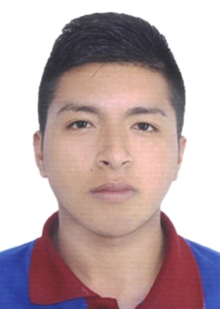 Fabio Andre Martinez Llanqui