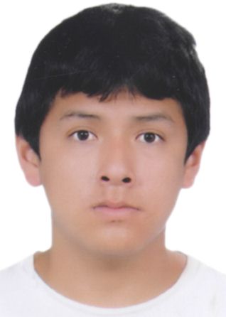 Fredy Mijail Castillo Almandos