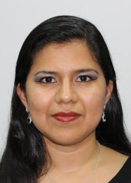 Gabriela erika valladares camargo