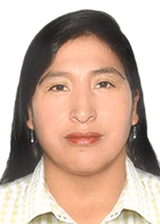 Georjina Figueroa Ccahui