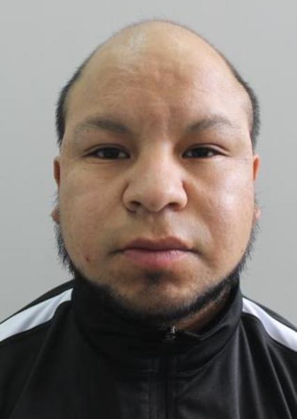 Gian carlos pandal ayvar