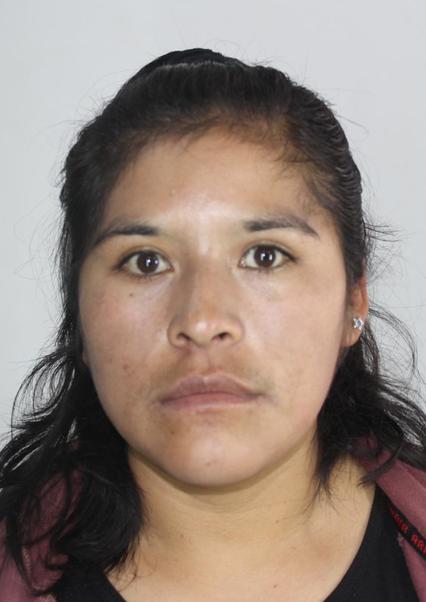 Giorni Bautista Ticona