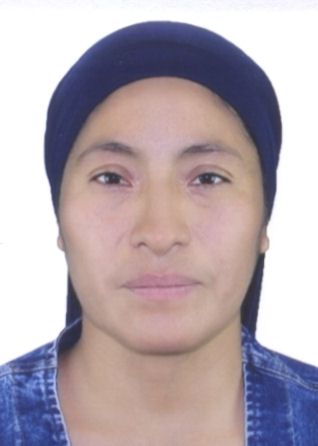 Gladys llacctahuaman misarayme