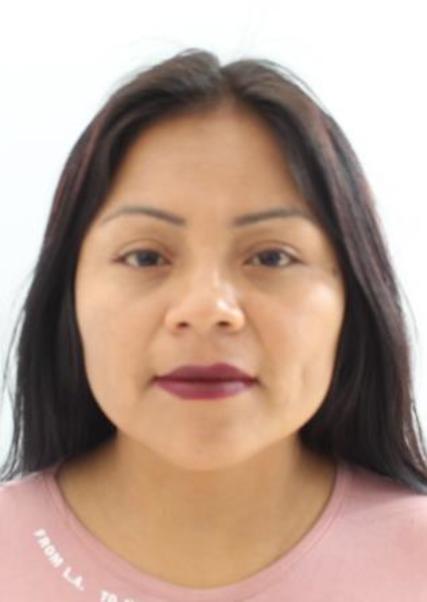 Gloria violeta capra oro