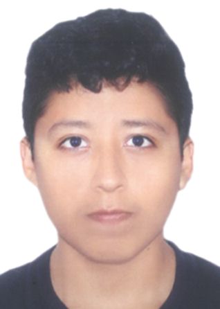Gonzalo Alonzo Mamani Flores