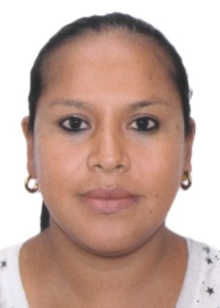 Harol Minerva Saldarriaga Guzman De Atoche