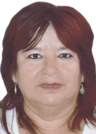 Haydee marisol portilla vilchez