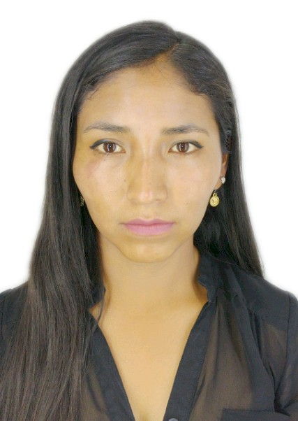 Heidi Pamela EstaÑa Mamani