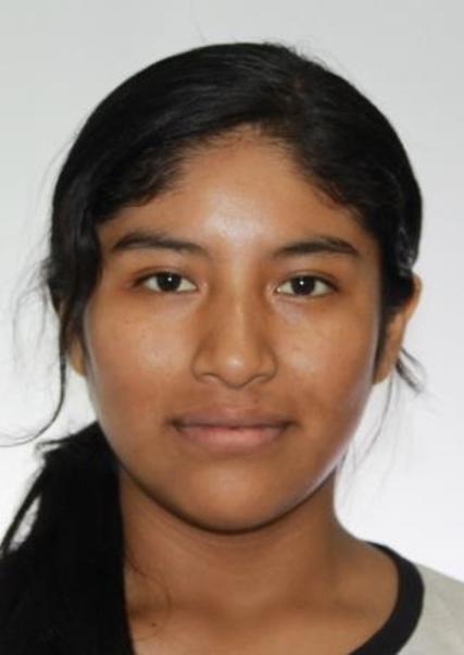 Heidy Briggitt Mamani Chambi