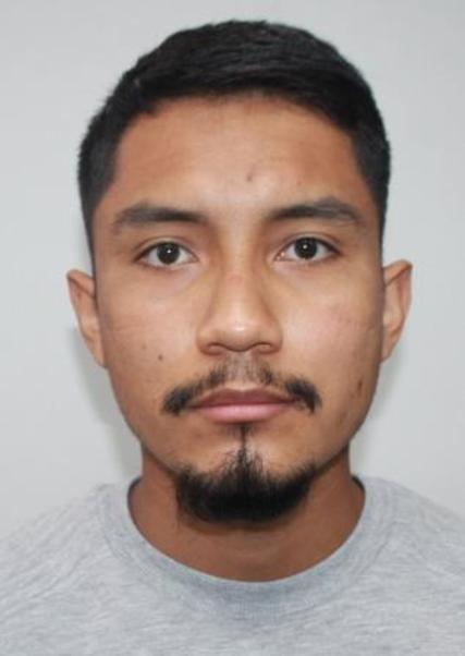 Henry Joel Mejia Guanilo