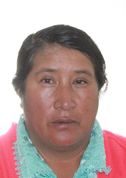 Hilaria heriberta romero pariamachi