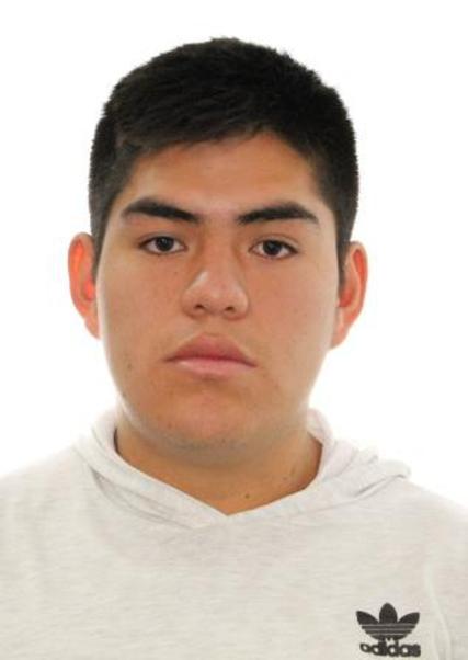 Hugo Aaron Cerna Mejia