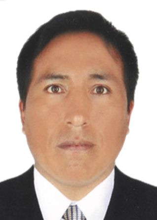Hugo Mamani Fernandez