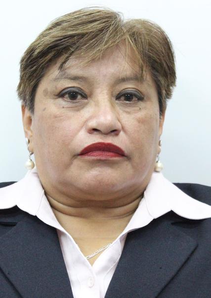 Ilse mabel hurtado caballero