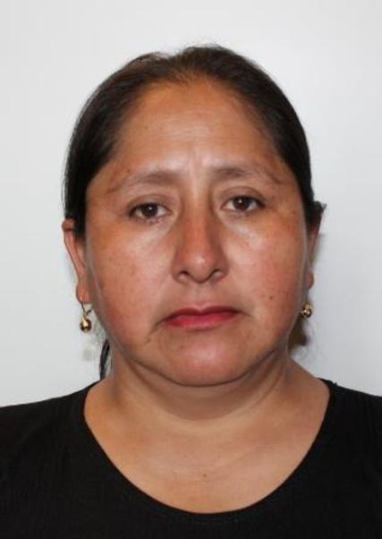 Irene Carcausto Huanca