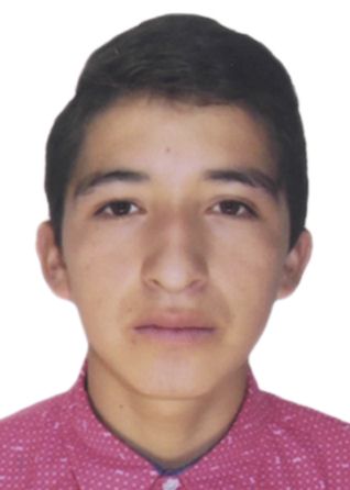 Istan Ildebrando Chavez Chavez