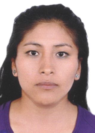 Jesuluz luyli mamani alfaro