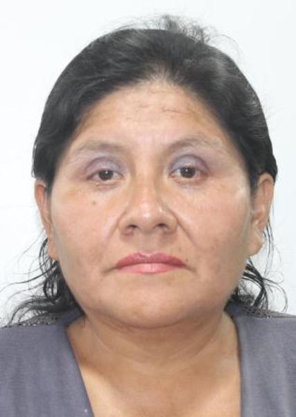 Jesus Del Pilar Fernandini Segura