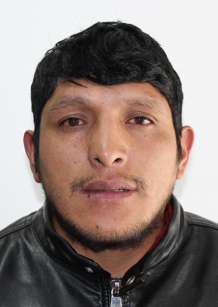 Jesus Walter Palacin Chavez