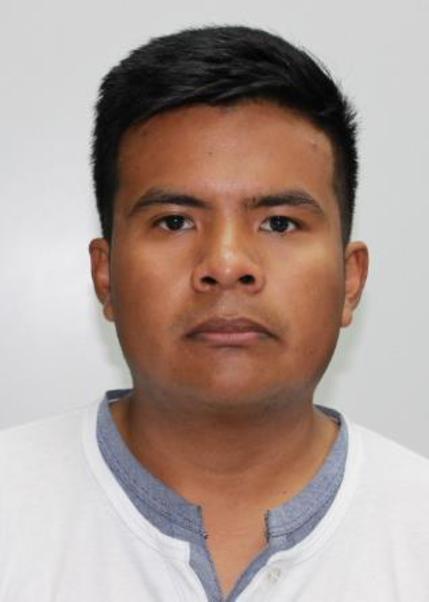 Joel hammerly sosa arana