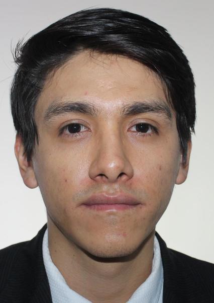 Joy luis manrique cayro