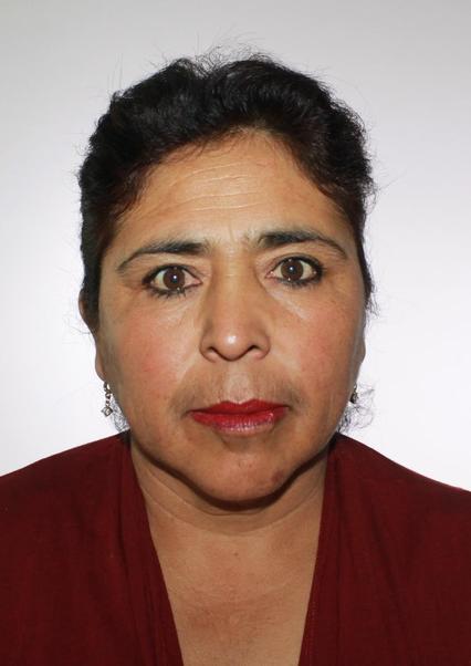 Julia alejandrina zegarra vargas