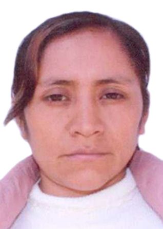 Julia Isabel Carbajal Artola