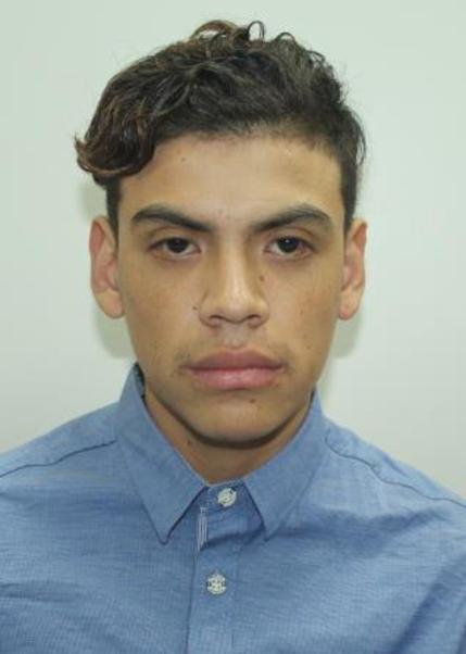 Julian Joel Alegre Lara