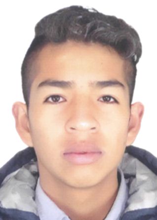 Julinho Arthur Sarabia Olave